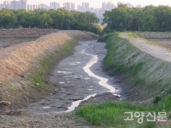 장항습지 생태논 사이의 물골 [사진제공=한강하구 장항습지보전협의회]