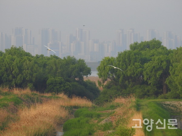 [사진제공=에코코리아]