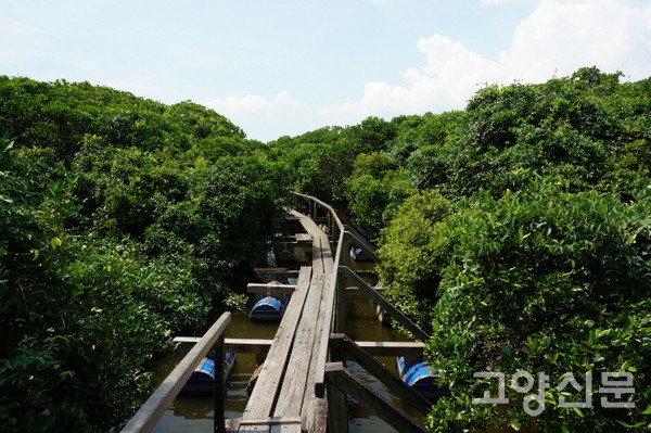 홍콩 마이포와 내후해만 람사르사이트 [사진제공=한동욱]