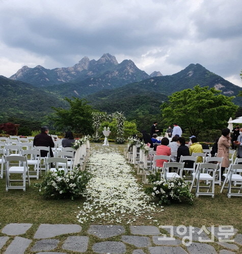 잔디밭에서 진행되는 야외 웨딩 [사진제공=포인트빌]