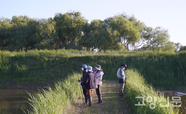 장항습지 논둑을 살피며 수원청개구리를 찾아나선 회원들