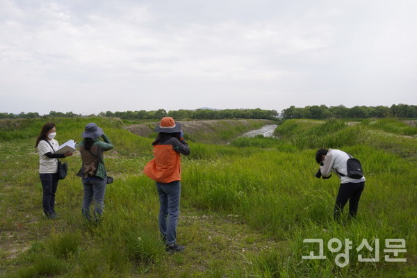 장항습지에서 생태교육프로그램을 진행하는 어린이식물연구회 회원들이 교육 준비를 위한 모니터링을 진행하고 있다. 