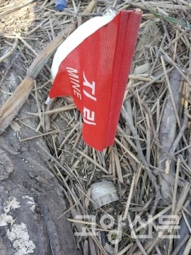 지난해 9월 행주산성역사공원에서 탐지된 M14 대인지뢰의 발견 현장 모습.