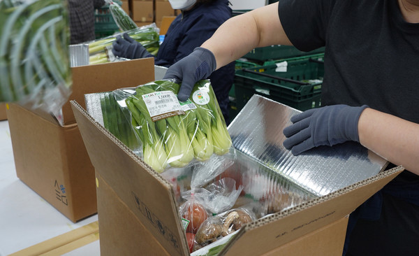 로컬푸드 꾸러미 페스티벌에는 농산물 11종으로 구성된 2종류의 꾸러미 700개가 준비됐다.