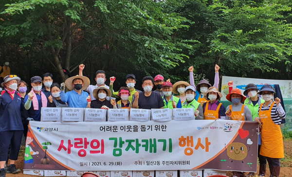 중산동에서 수확한 감자는 주민자치위원들의 노력과 정성으로 수확해 관내 저소득 주민들에게 전달된다.