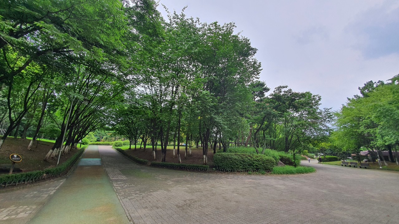 최인훈 선생은 화정동 은빛마을 5단지를 걸어나와 은빛공원을 지나 고양시립화정도서관까지의 이 산책로를 사랑했다. 선생은 사람들로 북적이지 않고 한적할 뿐만 아니라 푸른 나무들로 싱그러운 이 길이 마음에 들어 2000년 서울 갈현동에서 고양 화정동으로 이사를 왔다.