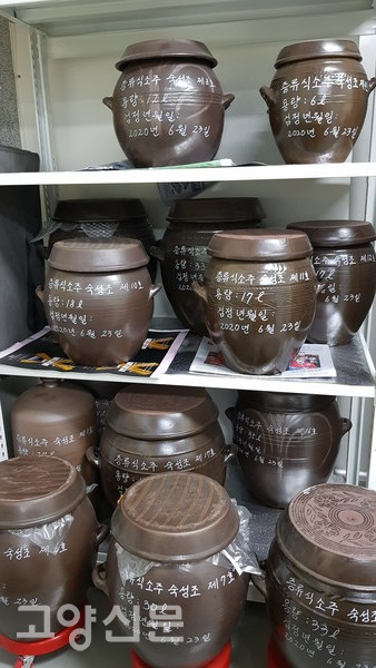 소주숙성항아리(사진제공 이광희)