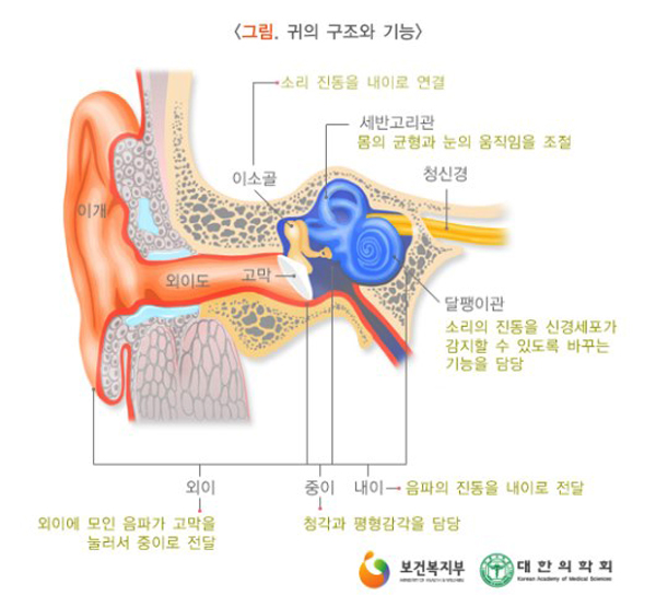 귀의 구조와 기능 [이미지 출처 = 국가건강정보포털 의학정보]
