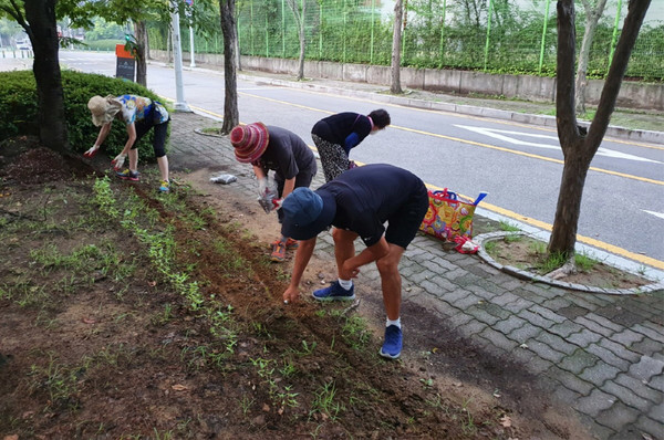 가와지 누리길 일대에 꽃씨를 심고 있는 대화동 주민자치위원들,
