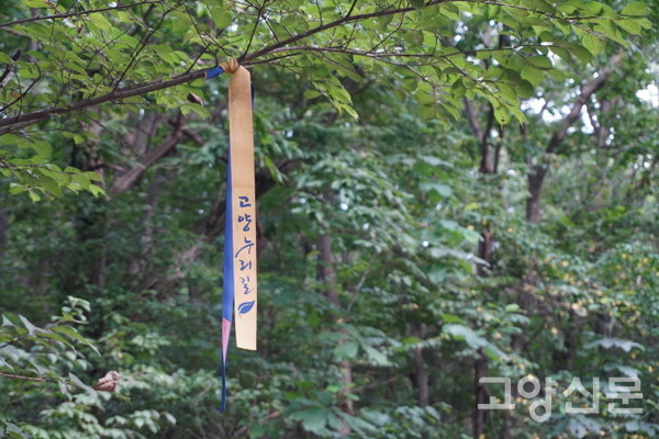 길 중간중간 걸려 있는 고양누리길 안내 리본.