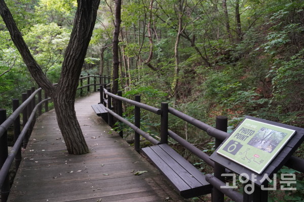 나무데크 위의 멋진 포토존. 