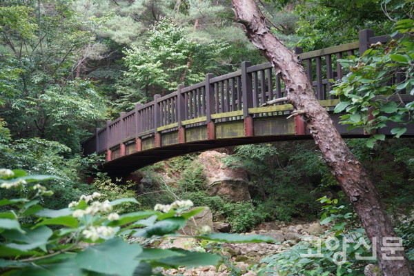 밤골계곡을 건너는 나무다리. 