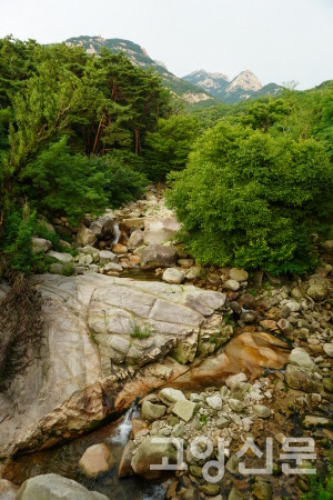 북한천 전망대에서 바라본 계곡 풍경.