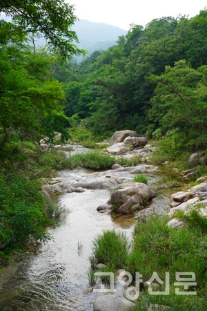 사기막교에서 노고산 방향 하류쪽을 바라본 모습.