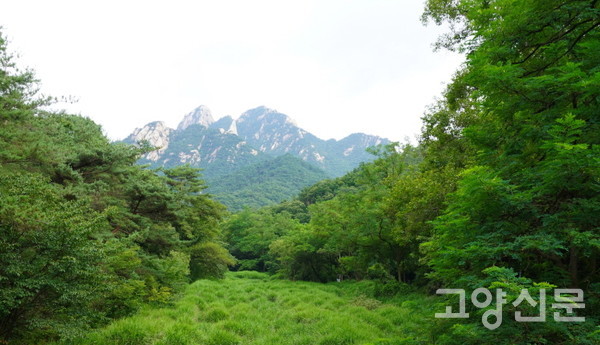 사기막교에서 올려다본 백운대와 인수봉 절경. 