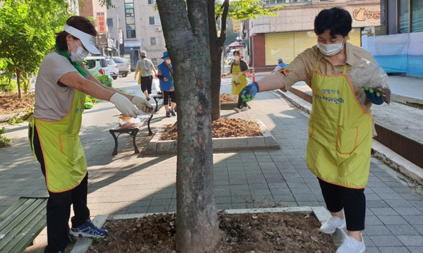 주민자치회위원 등은 정발산동 행정복지센터 인근 화단의 잡초를 제거하고 황화코스모스 씨를 파종했다.