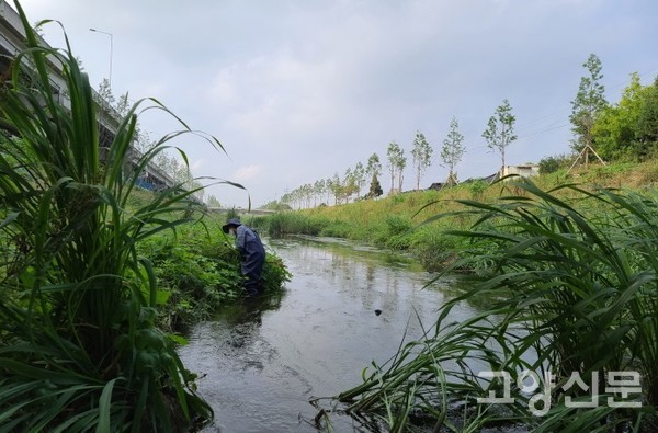 [사진=고양자연생태연구회]