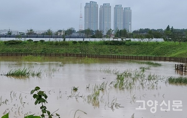 [사진=고양자연생태연구회]