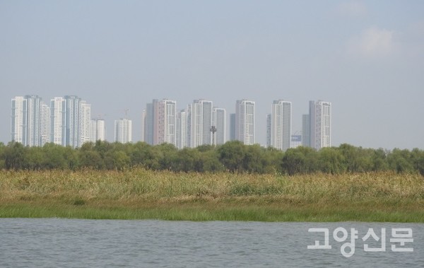 녹색탄소 저장고인 장항습지 숲. 사진제공=에코코리아]