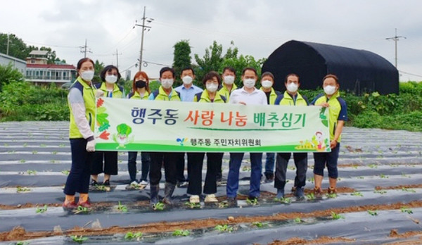 행주동이 심은 사랑의 배추는 하반기에 수확해 지역의 독거노인과 취약계층에 전달된다.