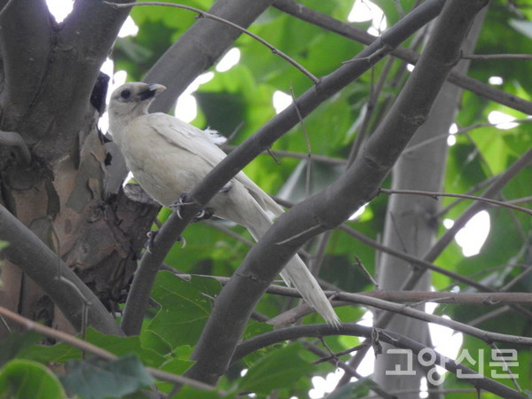 [사진제공=조병범]