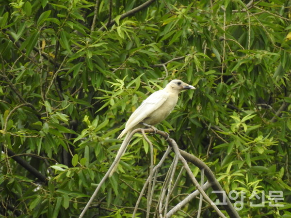[사진제공=조병범]