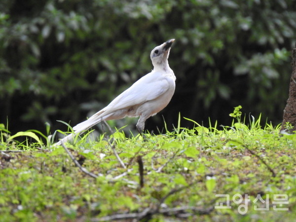 [사진제공=조병범]
