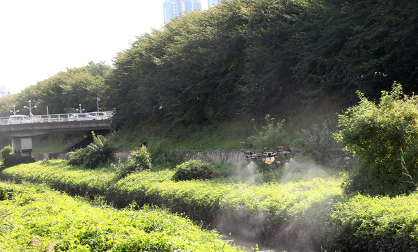 드론이 대화천에 EM을 뿌리고 있다. 