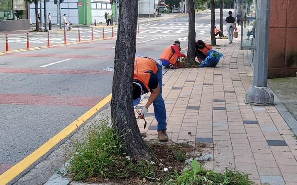 협약식 이후 송포동 주민자치위원회는 지역내 가로수 도토리정원 등을 정비했다. 