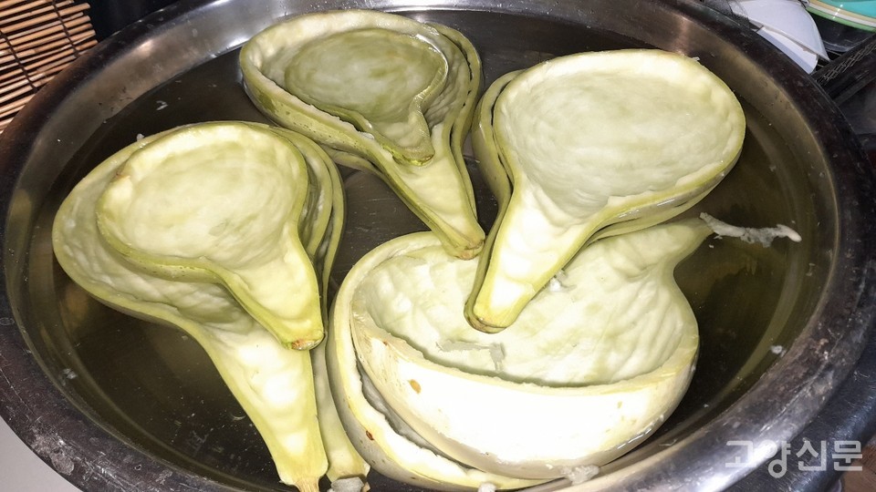 속을 파내서 바가지로 변신할 준비를 끝낸 조롱박들