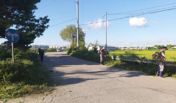 송포동 새마을지도자 회원들이 송포동 서촌교 인근 마을길과 장월평천 주변에서 환경정비 활동을 펼쳤다. 