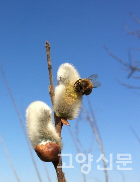 [사진제공=에코코리아]