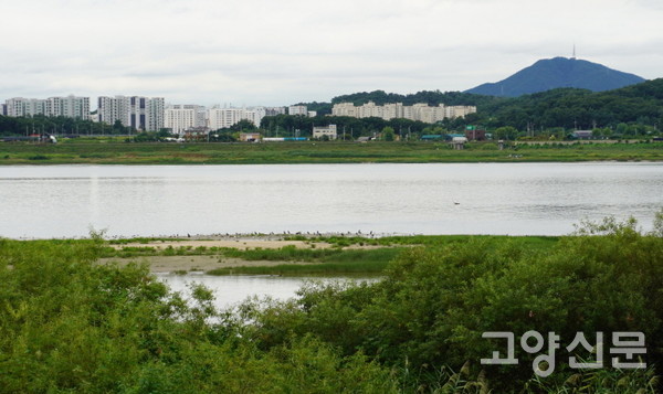 철책 틈새로 조망되는 장항습지. 강 건너편 김포와 인천 계양산의 모습도 보인다.