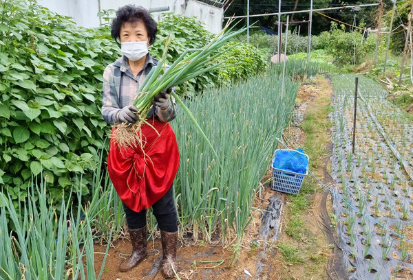농협로컬푸드직매장에서 생산자로 지역 고객들과도 만난다.  그가 생산한 농산물은 20여가지가 된다.