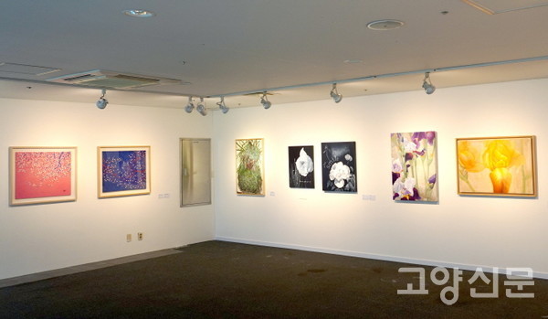 전시장으로 변신한 7개의 방마다 다양한 테마의 작품들이 전시됐다. 