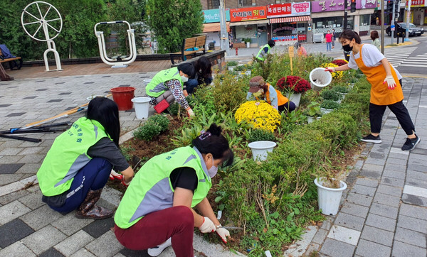일산2동 주민자치위원들이 주택가 골목과 주요 도로변, 유휴지 일대에 초화를 식재헸다.