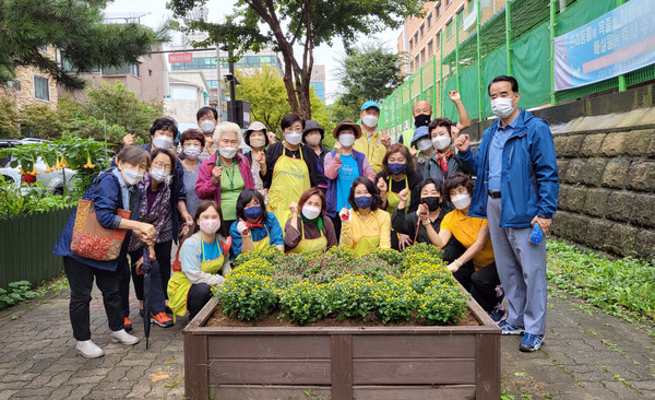 정발산동이 시민들 통행이 잦은 행정복지센터 주변과 저동고교 주변 꽃길 조성지 화단에 국화꽃을 심었다. 