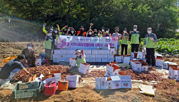  고봉동이 지역의 어려운 이웃을 위해 고구마 100상자를 수확하고 있다.