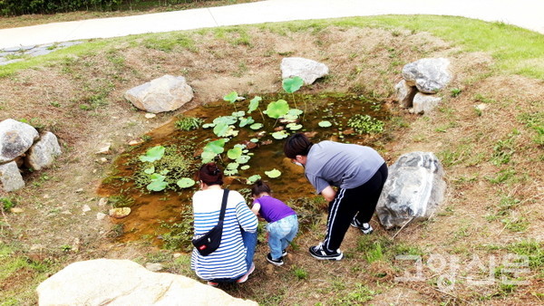 생태숲 복원 공원의 작은 연못을 구경하는 가족들. 