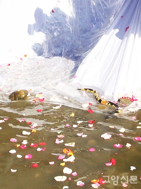 사진제공 송예진