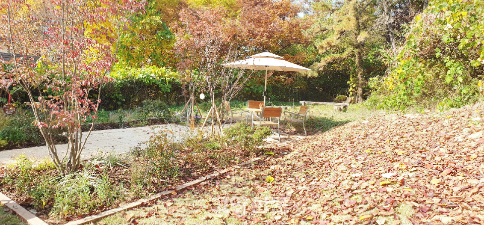 학생들이 직접 조성한 정원