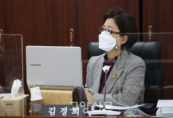 경기도의회 문화체육관광위원회 김경희 의원(더민주, 고양6).