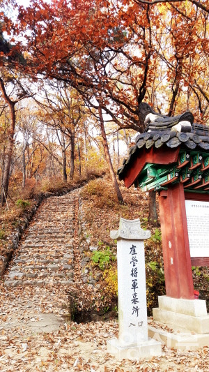 최영 장군 묘역으로 오르는 계단길. 