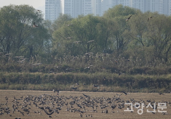 [사진제공=에코코리아]