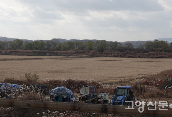 메마른 재두루미 잠자리 논. [사진제공=에코코리아]