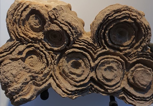 스트로마톨라이트는 단세포 광합성 미생물(photosynthetic microbe)인 남세균(cyanobacteria)의 성장으로 생성된 층을 이룬 퇴적구조물이다. 화석화된 스트로마톨라이트는 약 37억년 전의 것으로 여겨지며, 지구상에 고대 생명체가 존재했다는 것을 증명한다.