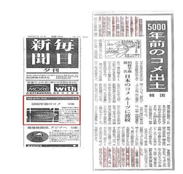 94년 9월 일본 마이니치 신문에 보도된 고양가와지볍씨 기사