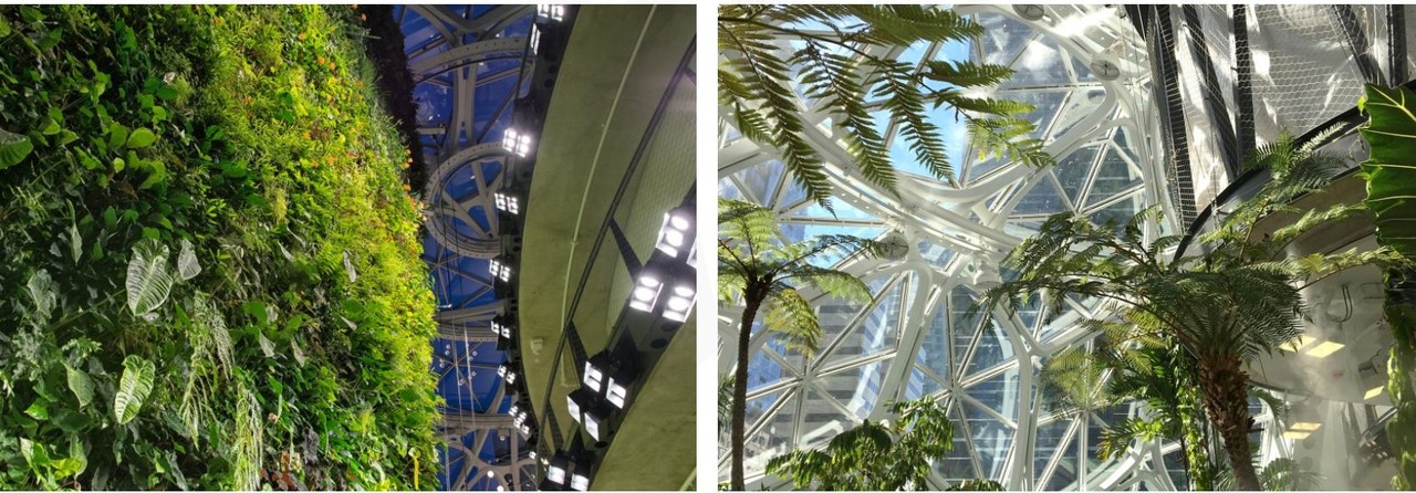 아마존 스피어스 내부 모습. 사진 = 아마존 스피어스 공식블로그에서 캡처