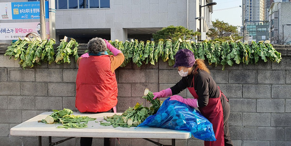 아름다운 풍경이다. 버릴 것 하나 없는 김장재료인 무청으로 시래기를 만드려고 벽에 널고 있는 이우림 회장(오른쪽)과 김미령 풍산동 지역사회보장협의체 민간위원장(왼쪽)