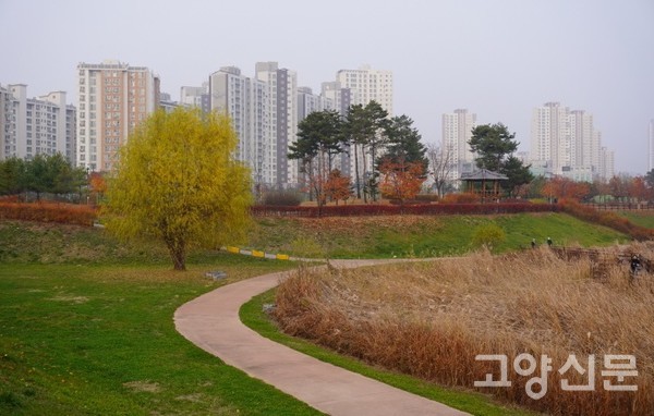 가을 정취 가득한 덕수생태공원.